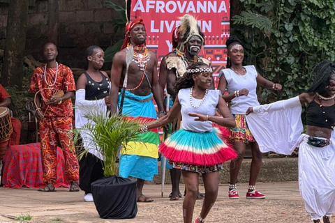 Afrovanna Living Experience with Lunch & Transport