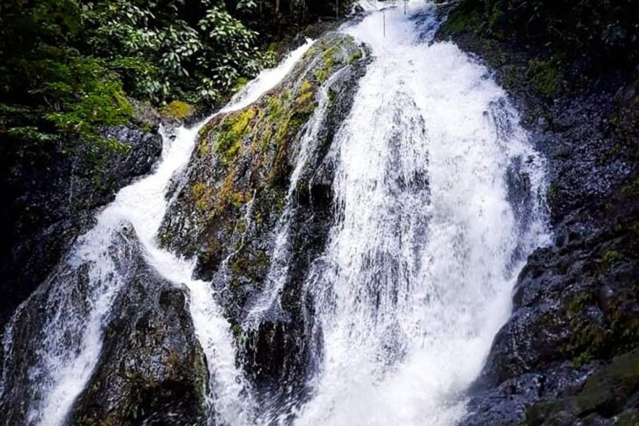 Jaco: Wasserfall-Abseilen & Dschungel-Traktor-Tour
