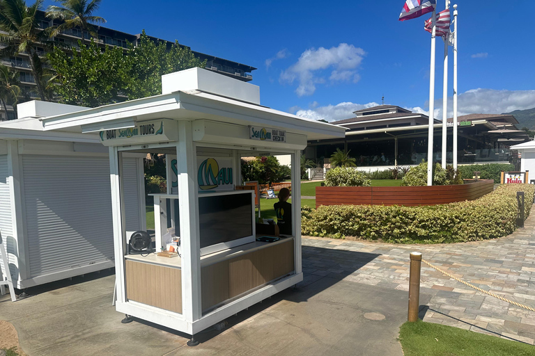 Ka'anapali Beach: Schnorcheln am Korallenriff und Schildkröten beobachten