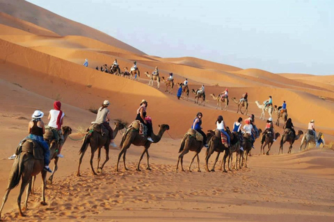 Excursión de lujo de 2 días por el desierto de Fez a Fez o MarrakechExcursión privada de lujo de 2 días por el desierto de Fez a Marrakech