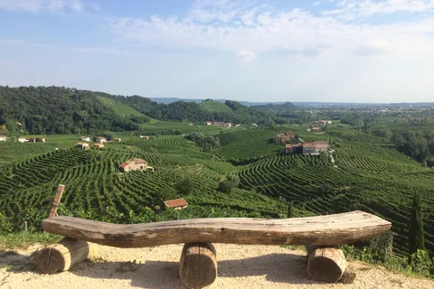 Venice: wine tour tasting along the Unesco Prosecco hills
