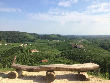 Prosecco: Weintour & Verkostung entlang der Unesco-Hügel