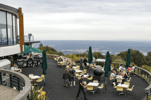Melbourne: Pufenberry Steam Train and Yarra Valley Tour