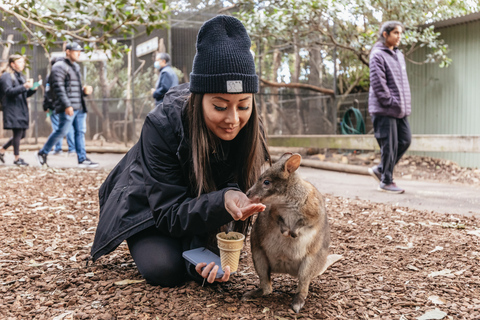 From Sydney: Blue Mountains, Scenic World All Inclusive Tour Pick-up 132 Castlereagh St, Sydney - 6:55 AM