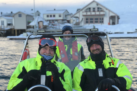 هونينغسفاغ سلطعون ملك شمال كيب الشمالي وسفاري الحياة البرية في القطب الشمالي