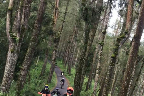 Bali: Mount Batur Custom Dirt Bike Tours Bali: Pine Forest, Black Sand & Lava Dirt Bike KLX BF 150