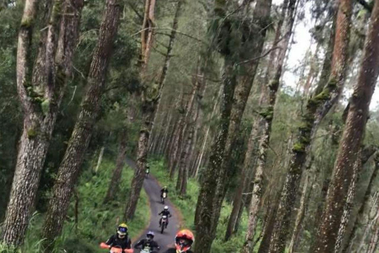 Bali: Mount Batur Custom Dirt Bike Tours Bali: Pine Forest, Black Sand & Lava Dirt Bike KLX BF 150