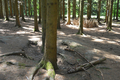 From Brussels: Bastogne Battle of the Bulge Private Tour