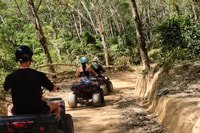 Phuket, Chalong Temple, Big Buddha Visit & ATV Adventure - Housity