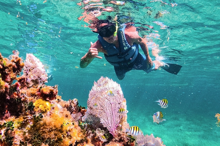 Cancun: Jungle Adventure with Reef Snorkeling