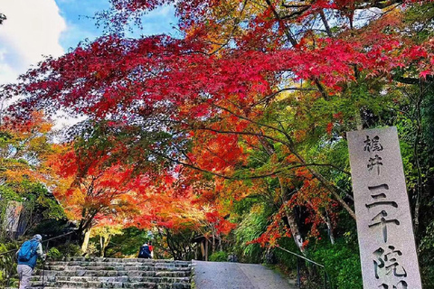 A Thousand Years in One Day: Kyoto & Nara Panoramic Tour Osaka Station