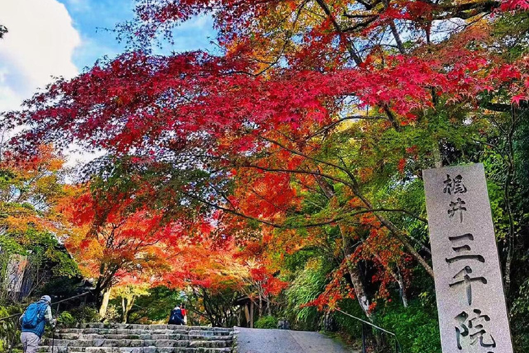 A Thousand Years in One Day: Kyoto & Nara Panoramic Tour Osaka Station