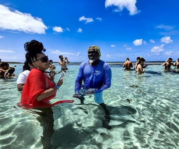 Antigua: esperienza nella città delle razze con transfer di andata e ritorno