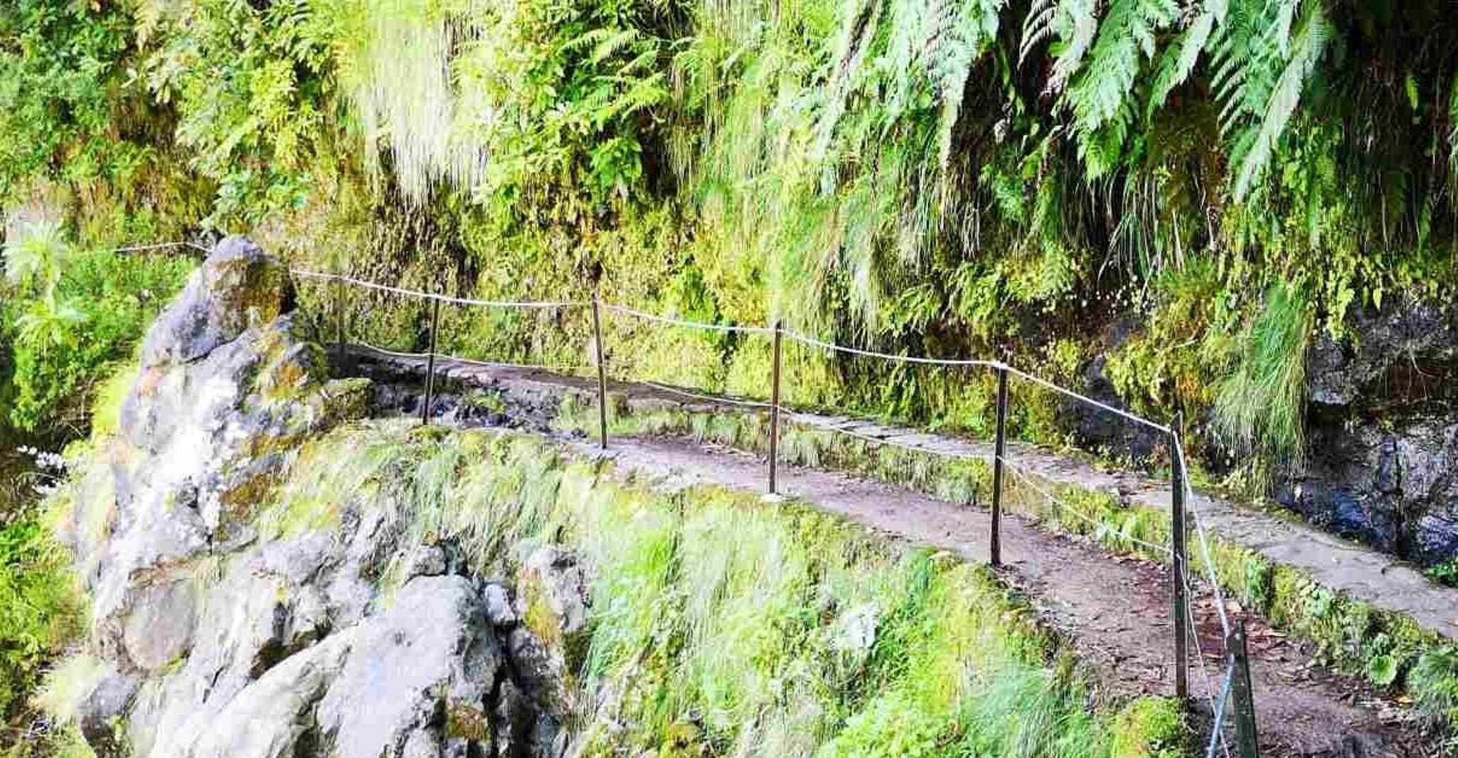 Queimadas Caldeirao Verde Full day hike - Housity