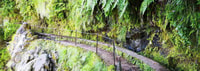 Queimadas Caldeirao Verde Full day hike - Housity