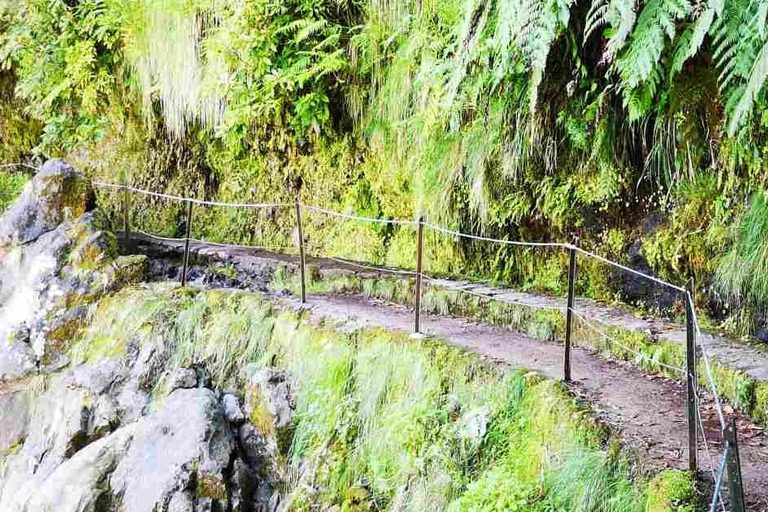 Queimadas Caldeirao Verde Volledige dagwandeling