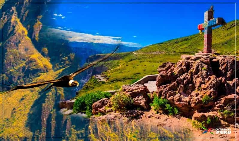 Tour - Colca Canyon Trekking 2D1N with Final in Puno | GetYourGuide