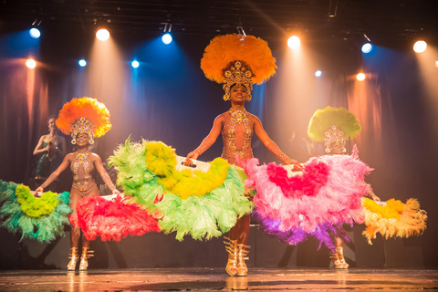 Rio en un jour : Tour de ville et spectacle combinés