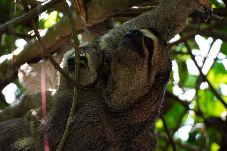 Puerto Maldonado: Kayaking and swimming in the Tambopata River