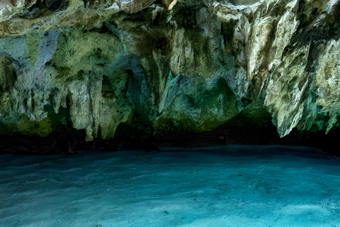 Zanzibar: Simma med sköldpaddor i Salaam-grottan och en bevarande-turKizimkazi: Salaam-grottan, simma med sköldpaddor och bevarande