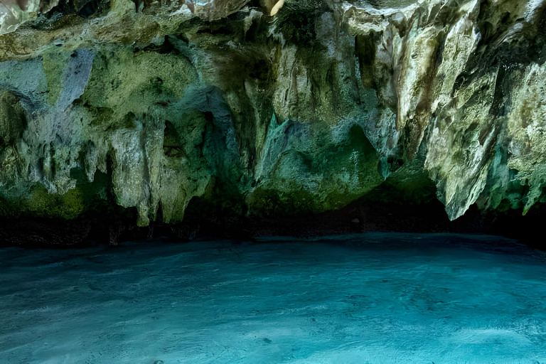 Zanzibar: Simma med sköldpaddor i Salaam-grottan och en bevarande-turKizimkazi: Salaam-grottan, simma med sköldpaddor och bevarande