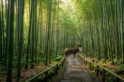Kyoto: Private Guided Tour With Vehicle and Optional Add-Ons