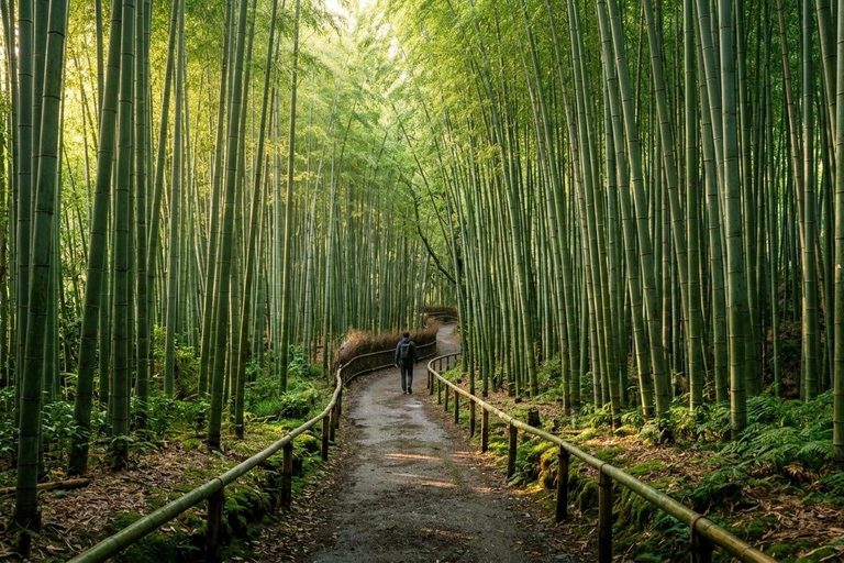 Kyoto: Private Guided Tour With Vehicle and Optional Add-Ons