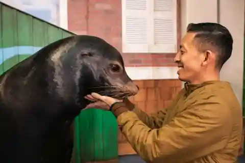 Acuario de Georgia: Encuentro con leones marinos