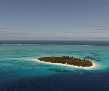 Tour dell'isola di Mnemba, Prison Island, Jozani Forest, The Rock