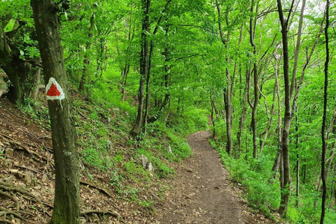 Brașov in Focus: A Walking Tour, Hike & Photo Experience