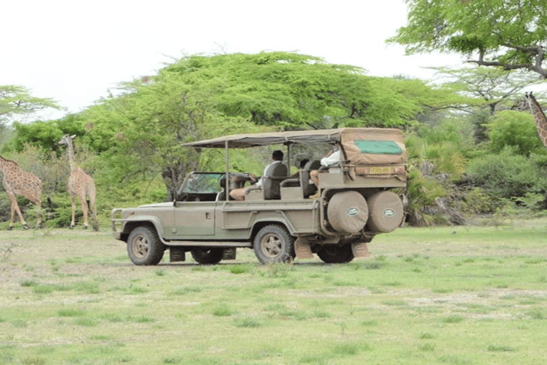 Pacote de voo de 4 dias de Zanzibar para Nyerere NP (Selous GR)