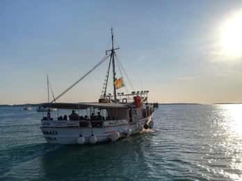 FAZANA Koralj DOLPHIN Tour in barca NP Brijuni