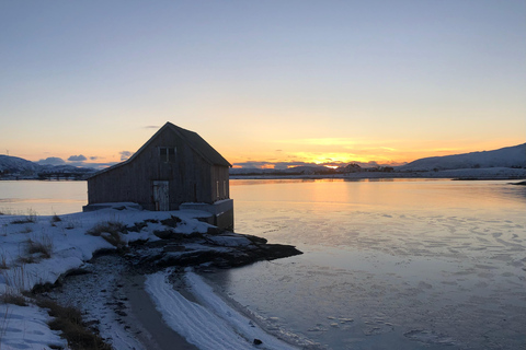 Tromsø: Fjorden &amp; Stranden Tour met kampvuur en foto&#039;s