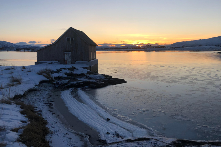 Tromsø : Tour des fjords et des plages avec feu de camp et photos