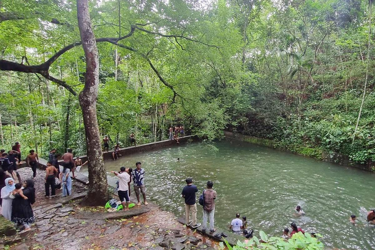 Kochi: Höhlen, Wasserfälle und Aussichtspunkt – TagestourTagestour in der Natur von Kochi: Höhlen, Wasserfälle und Aussichtspunkt