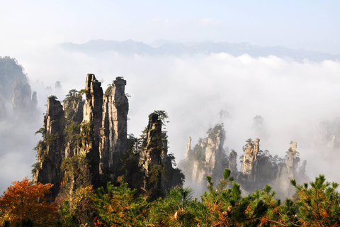 Merveilleuse excursion d&#039;une journée à Zhangjiajie avec le parc forestier national