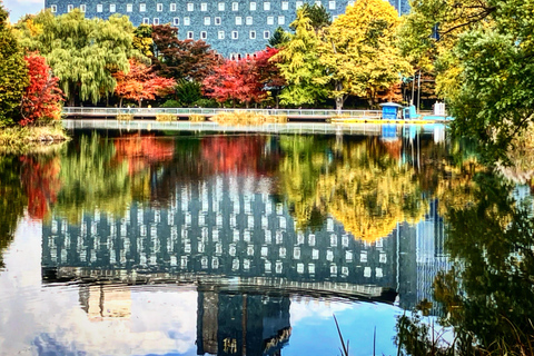 札幌：私人鱼市场和城市亮点之旅札幌：私人鱼市和城市亮点之旅