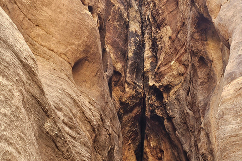 AlUla: Wadi Al Disah Day Trip with Guide