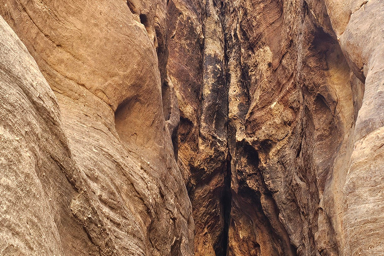 AlUla: Wadi Al Disah Day Trip with Guide