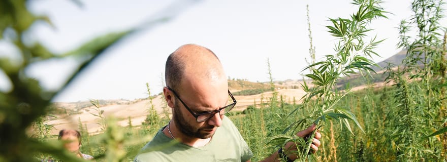 Promenade sensorielle avec déjeuner dans la campagne de Caltagirone