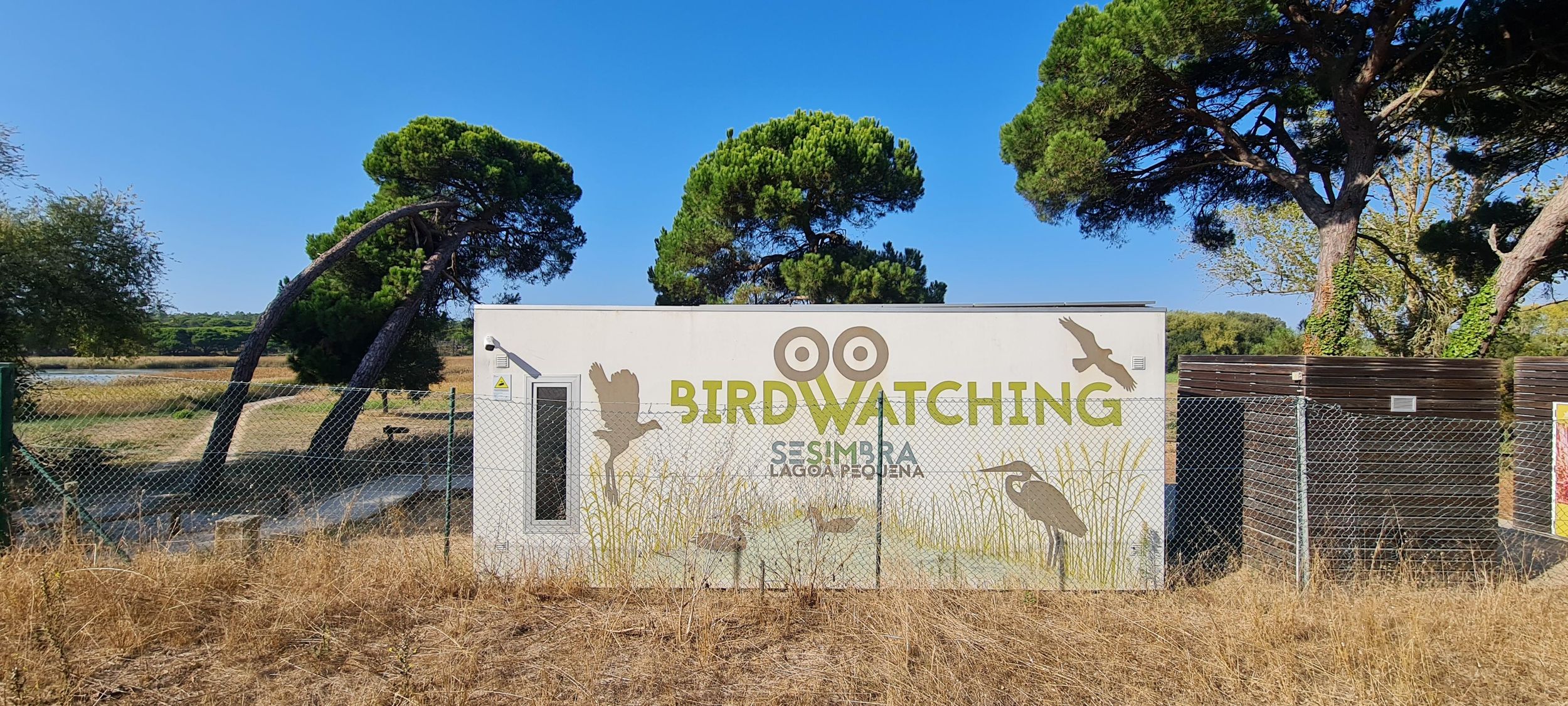 Sesimbra: Vogelbeobachtung mit lokalen Köstlichkeiten