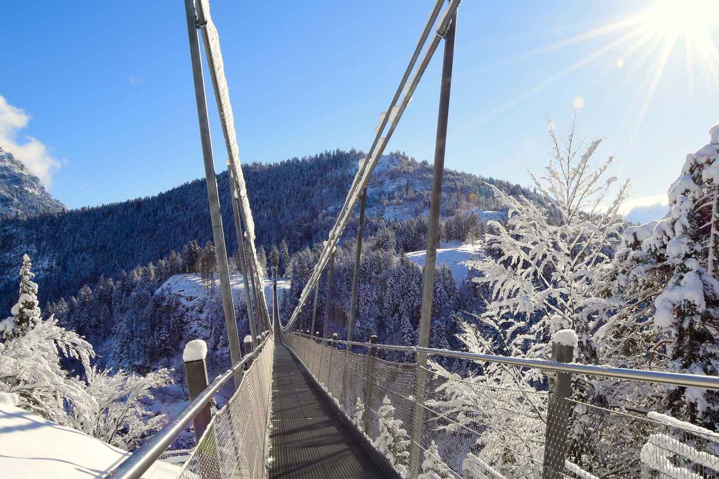 Munich: Neuschwanstein & Zugspitze, Eibsee + Austria. Privat