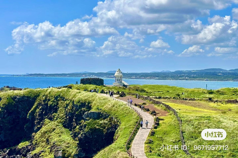 Excursion d'une journée sur les routes orientale et septentrionale de JejuPoint de rencontre : Shilla Duty Free