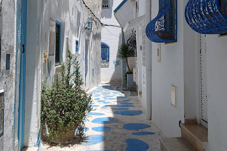 From Hammamet: Hammamet Medina & Nabeul Souk Half-Day Tour