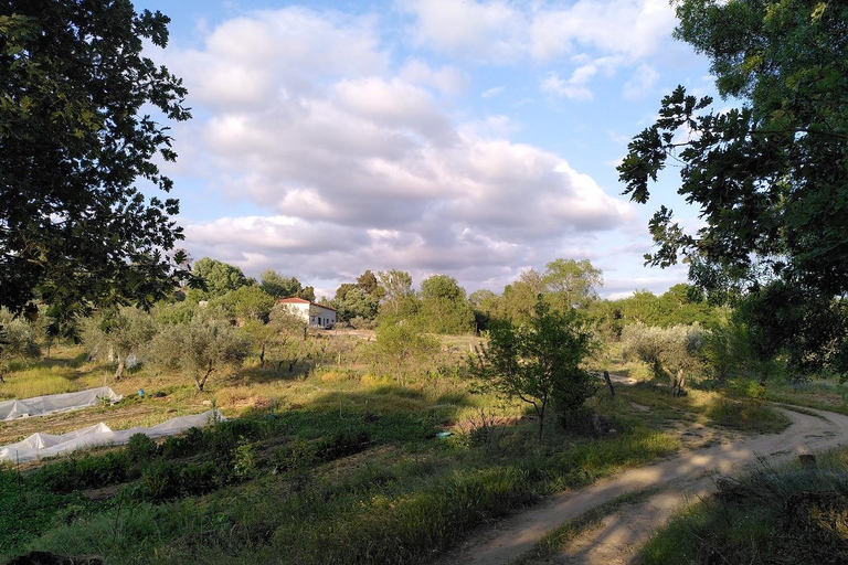 Trancoso: Tour ecologico della fattoria con degustazione