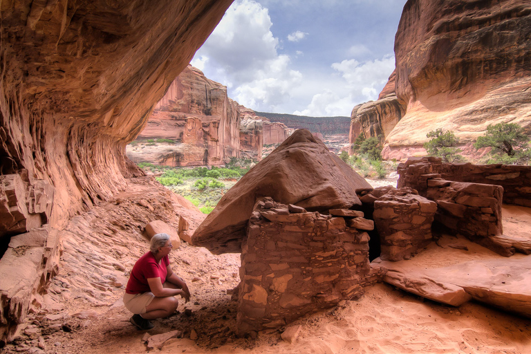 Desde Moab: tour combinado en 4x4 y senderismo en Lavender Canyon