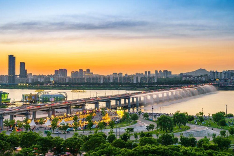 Nami Island & Seoul Highlights Private Tour for solo and couples