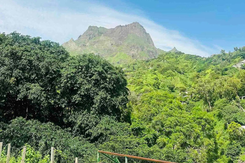 Pico d’Antónia Advanced Hike: Summit Ascent & Panoramic View