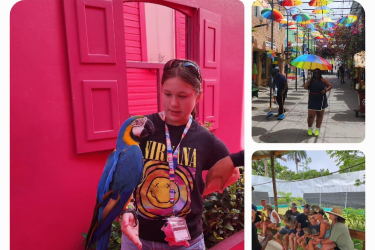 Puerto Plata: Panoramic Tours, Butterfly Garden, Countryside Views