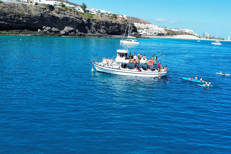 Costa Calma: Fuerteventura Dolphin Watching Boat Tour